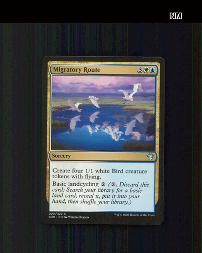 Migratory route 222 - migratory,