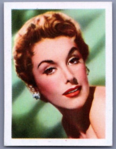 1956 jibco tea screen - 1956,