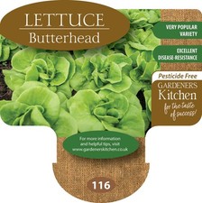 Lettuce Plants - 'Butterhead'