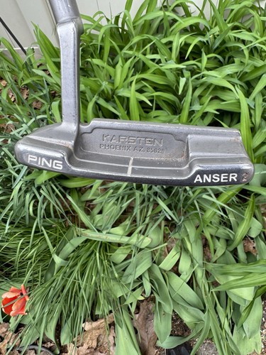 Rare ping 1966 anser 50th - 1966,