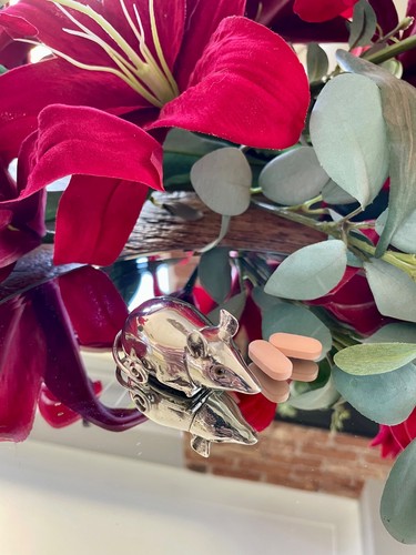 Collectable novelty silver - collectable,
