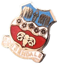Rossendale Small Pin Badge