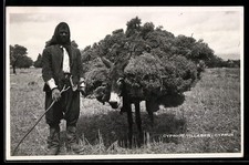 Cyprus, Capriot Villager