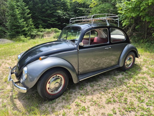 1967 volkswagen beetle - 1967,