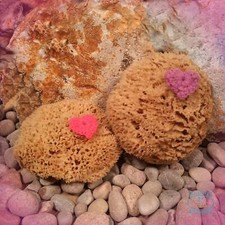 Bath & Shower Natural Sea