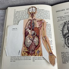 Medical Books Virtues