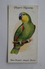 1933 John Player & Sons Aviary & Cage Birds 26 Blue-fronted Amazon Parrot