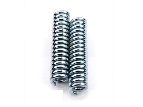 Front fork pränafa spring set - front,