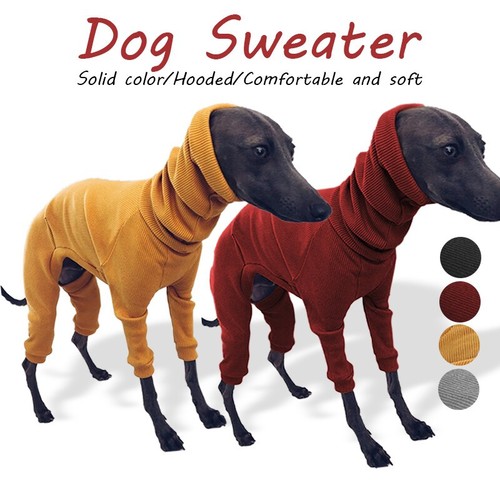 Winter puppy dog jumper - winter,