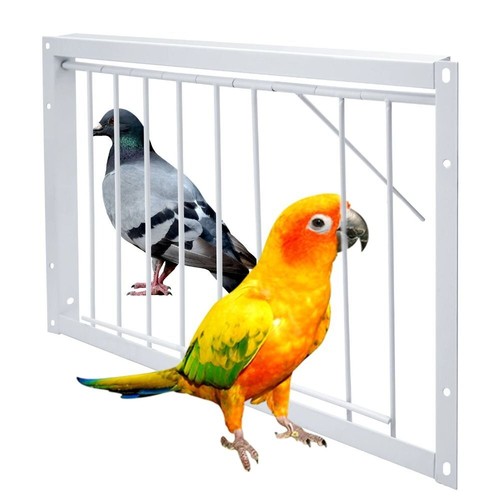 Removable trap door - door, bird