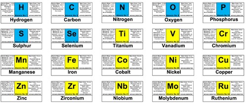 Set 118 colored periodic - colored,