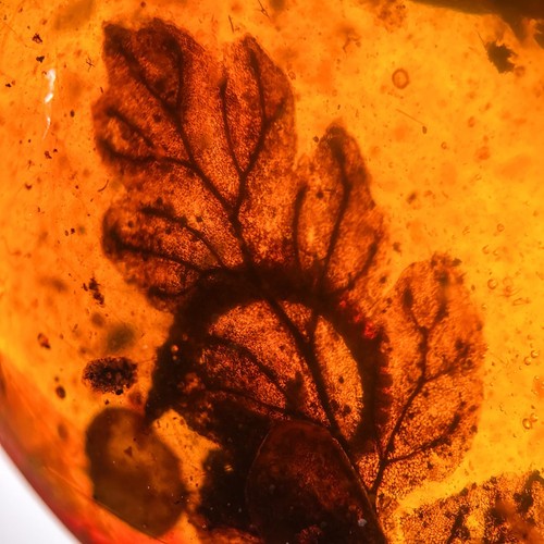 Stunning leaf inclusion - stunning,