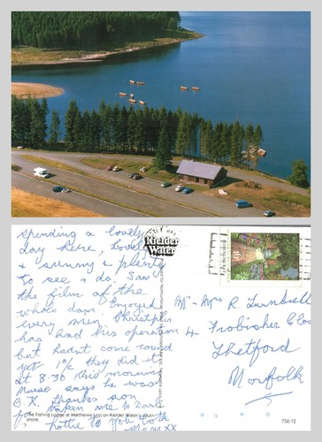 Postcard the fishing - postcard,
