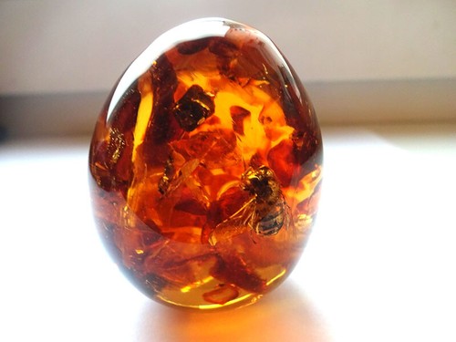 Egg souvenir with baltic amber - baltic,