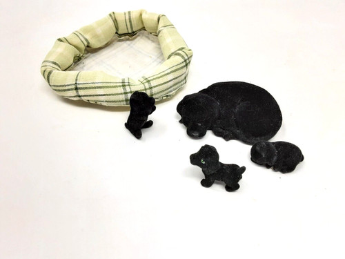 Meg puppies pocket - in, my