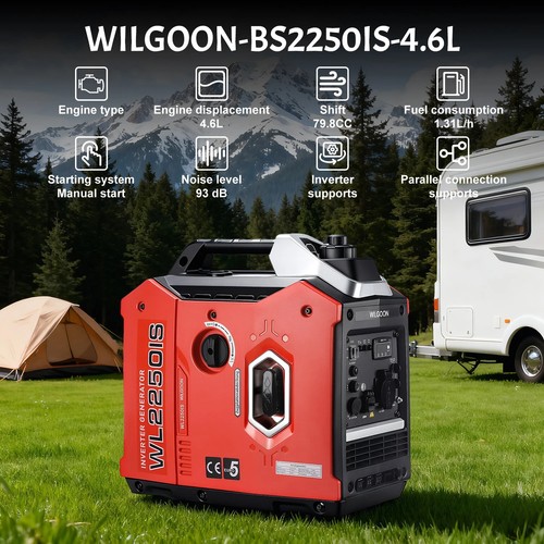 3000w petrol inverter - petrol,