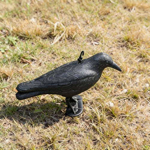 Black fake crow decoy - crow,