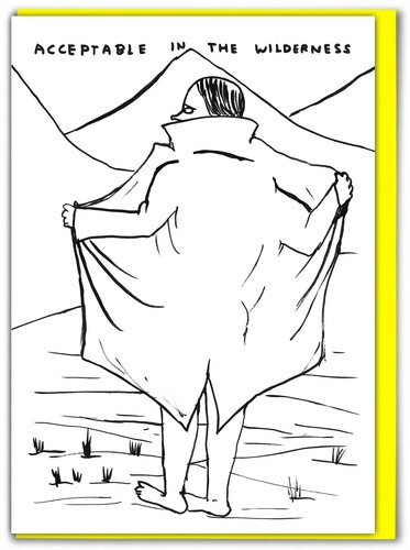 David shrigley birthday - shrigley,