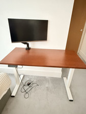 Flexispot Electric Standing