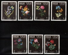 Sharjah Flowers and