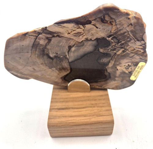 Australian opalised wood - australian,