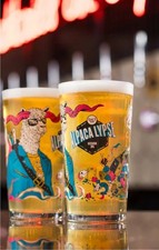 1 X Salt ALPACALYPSE IPA