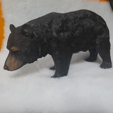 North american black bear - american,