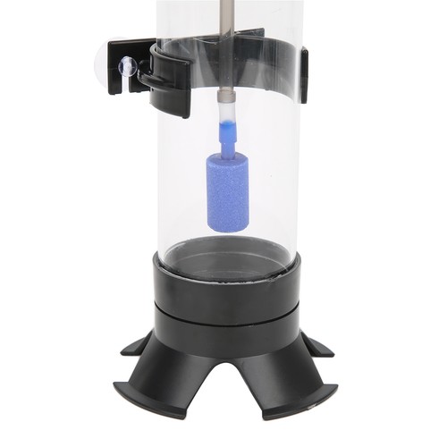Brine shrimp eggs incubator - eggs,