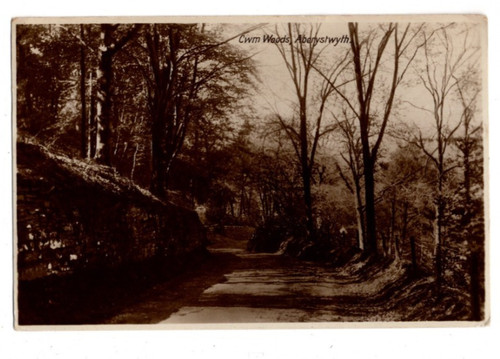Cwm woods aberystwyth - woods,