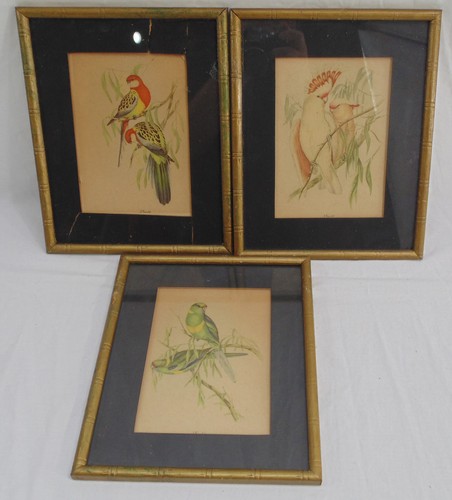 Vtg lot gould bird - j,