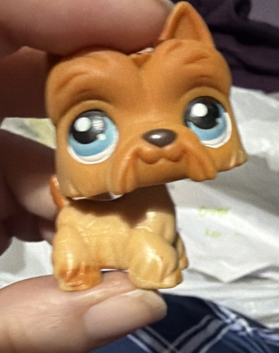 Littlest pet shop black - littlest,