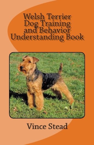 Welsh terrier dog training - dog, and