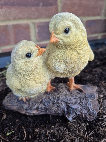 Chicken garden ornament chicks - chicken,