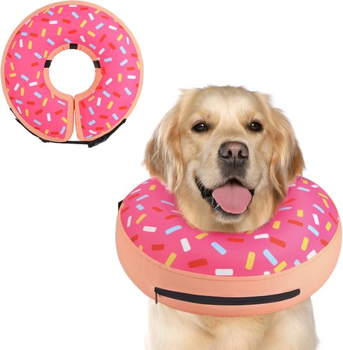 Supet inflatable dog - inflatable, cone