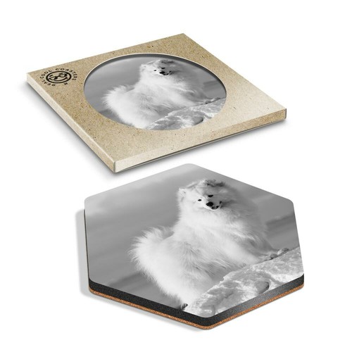 Hexagon coaster bw - coaster,