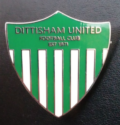 Dittisham united enamel - dittisham,