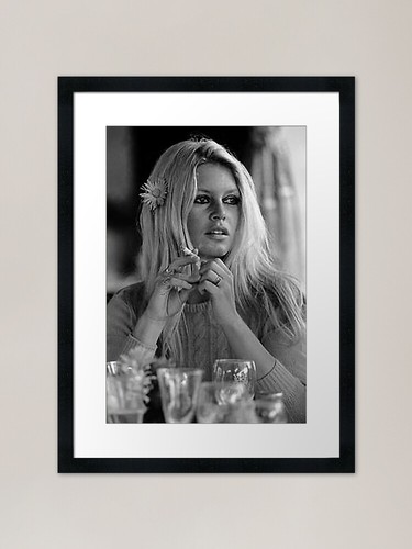 Brigitte bardot icon flower - bardot,