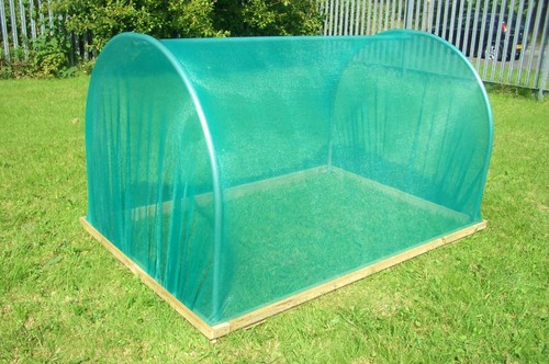Net cloche garden - net,