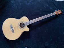Acoustic bass guitar - acoustic,