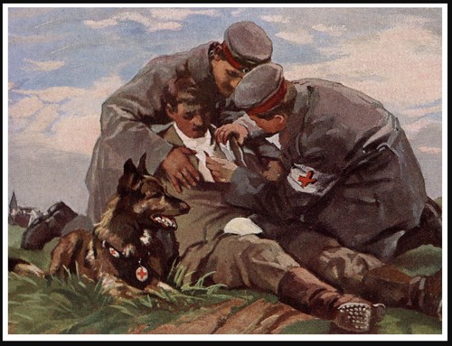 Belgian and shepherd red - and, cross