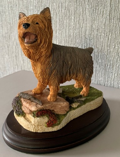 Dog the yorkshire terrier - the,