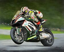 Original Oil Painting of Shane 'Shakey' Byrne - PBM Kawasaki 2015 motorcycle art
