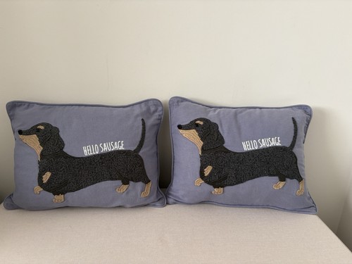 Next hello sausage dachshund - hello,