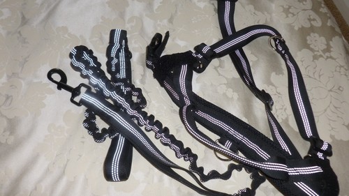 Dog harness and - harness,