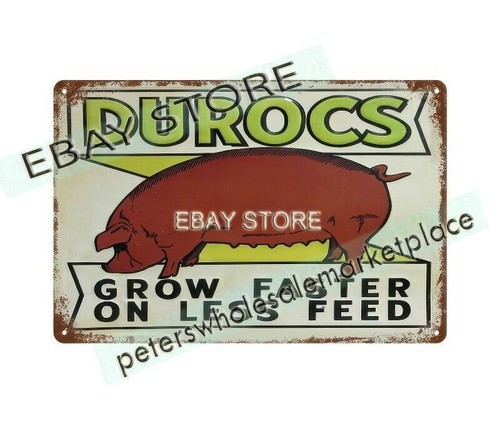Durocs hog meat livestock - hog,