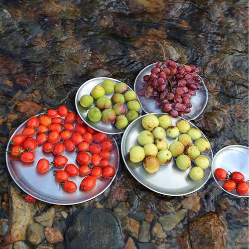Stainless steel dinner plates - steel,