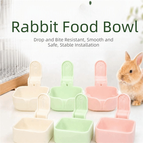 Rabbit food bowl - food,