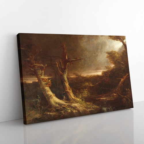 Tornado forest by thomas - a,