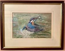 Original Beautiful Kingfisher