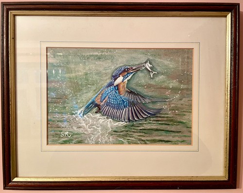 Original beautiful kingfisher - original,